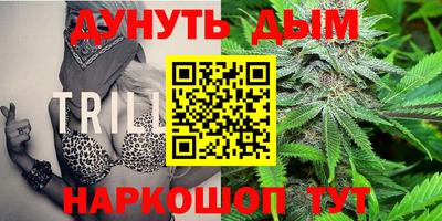 mdpv Кандалакша