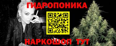mdpv Кандалакша