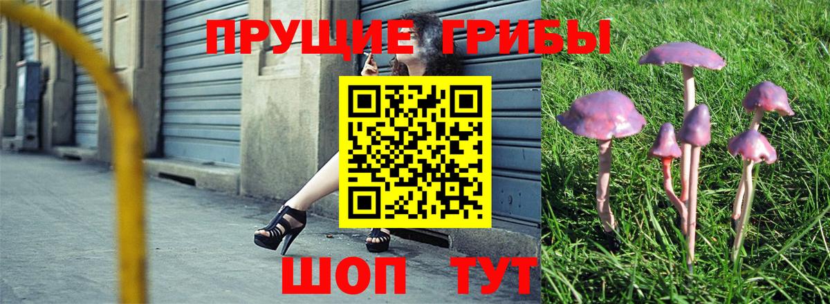 Галлюциногенные грибы GOLDEN TEACHER Красный Сулин