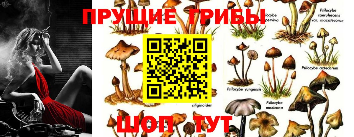 дарнет шоп  Вход с VPN  Красный Сулин  Галлюциногенные грибы ЛСД  Галлюциногенные грибы прущие грибы 