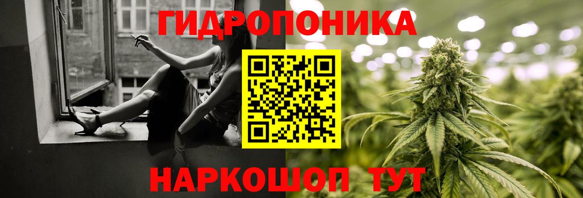 Марихуана сатива Красный Сулин